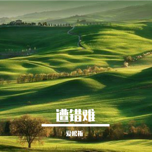 遭错难