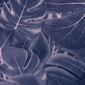 How Can I Be Homophobic My ***** Is Gay (Sped Up)