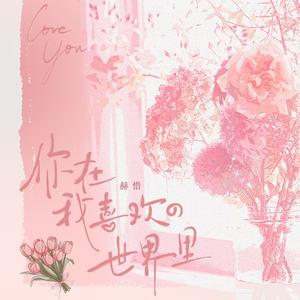 你在我喜欢的世界里（《爱你》影视剧主题曲）翻唱