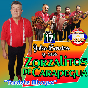 Enganchado De Julio Bareiro y Sus Zorzalitos