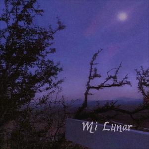 Mi Lunar
