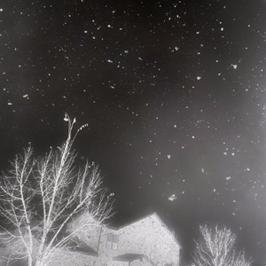 Fool (Prod. Kuroime)