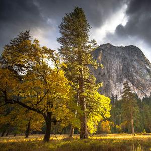 太阳要下山了我该回家了