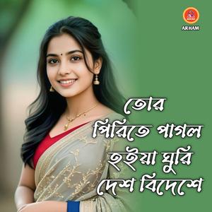 তোর পিরিতে পাগল হইয়া ঘুরি দেশ বিদেশে