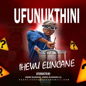 Ufunukthini (feat. IHewu Elincane)