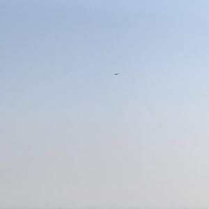 Been a minute (feat. Lil Big Data)