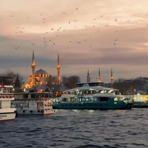 İlkokul Terk