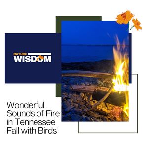 Tenneesse Fall Beauty