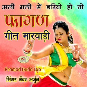 Fagan Bhaade me Badbor Ubi Marwadi Song