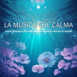 Accompagnamento musicale