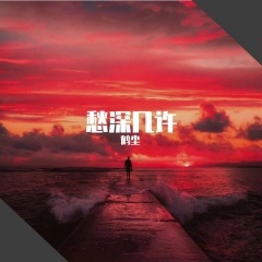 远赴人间惊鸿宴 (DJ版)