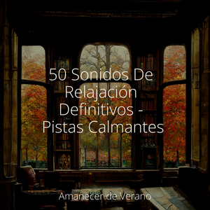 Reflexiones Tranquilas Dentro