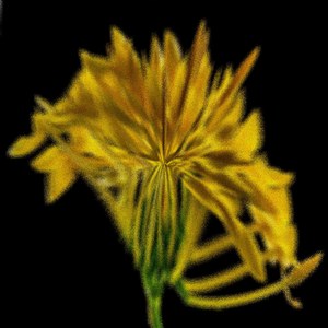 Metatrophic