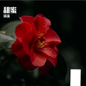 幸福到彼岸-伴奏