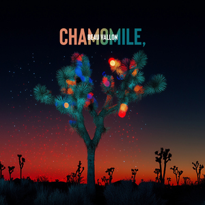 Chamomile