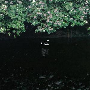 心海