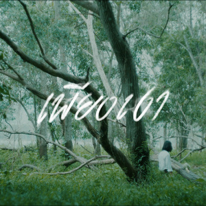 เพียงเงา