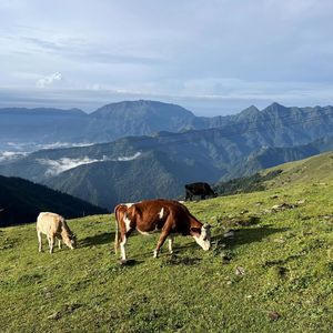 情人节妄想曲（prod. by jeston）