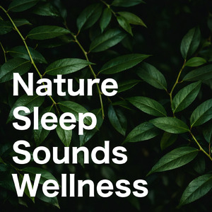 聴きながら寝るための睡眠導入音楽 3分で眠れる癒しのギター (自律神経を整える睡眠用 森 鳥)