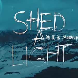 Shed a Light (张灵玉 Mashup）