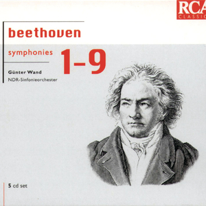 Symphony No. 7 in A Major, Op. 92: Allegretto