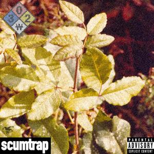TOXICODENDRON