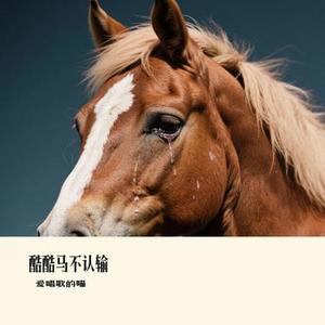 酷酷马不认输