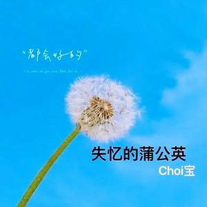 失忆的蒲公英（重制升级版）