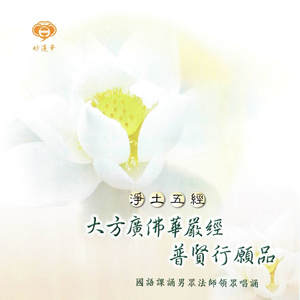 大方广佛华严经普贤行愿品 回向文