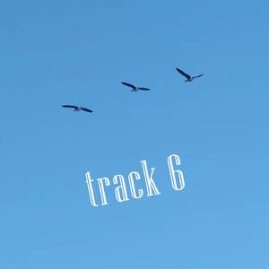 Track 6