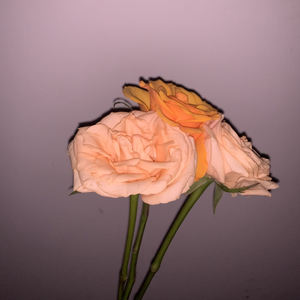 物是人非的道路上你永远是我的光（prod EVO MUSIC）