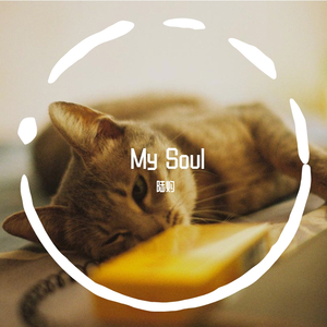 Guappgawd-My Soul（陆灼 remix）