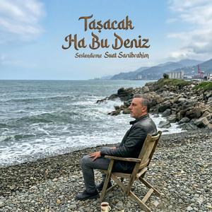 Taşacak Habu Deniz
