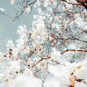 사랑은 재채기와 같아서... (New Age)