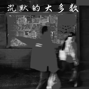 沉默的大多数2025（慢版）