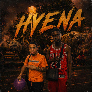 hyena