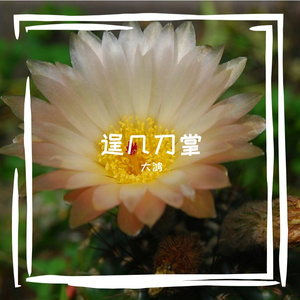 逞几刀掌
