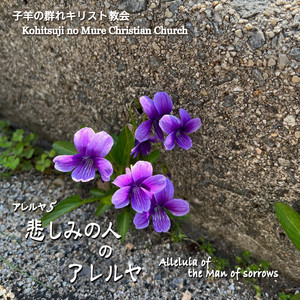 悲しみのアレルヤ（１）～（４）