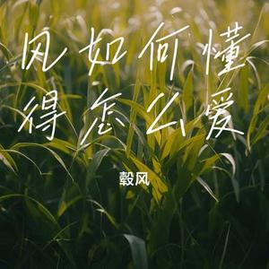 风如何懂得怎么爱