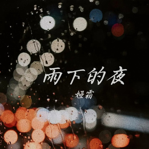 雨下的夜