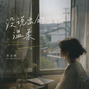 没说出的温柔