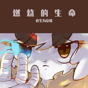 燃烧的生命