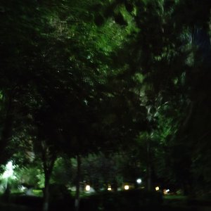 未言的雨夜