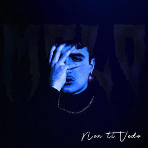 Non ti Vedo