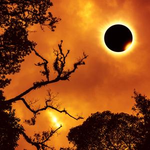 Phenomenon (Rock Instrumental Type Beat)