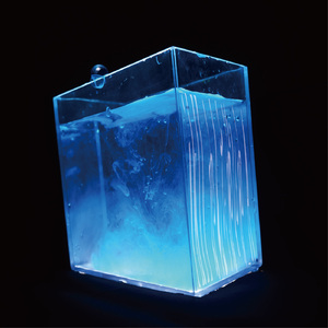 かんちがいか_A