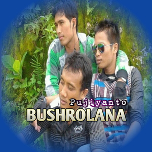 Bushrolana