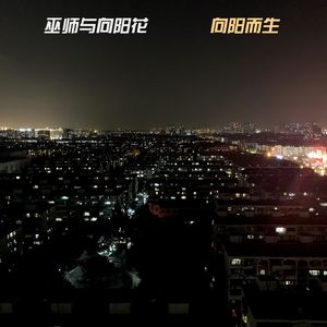 向阳而生