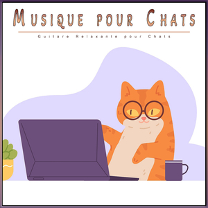 Musique pour câliner les chats