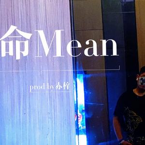 命Mean（prod by 9Zi）